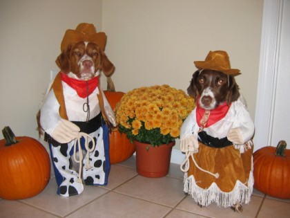 funny dog costumes