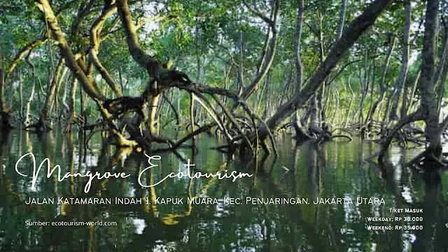taman wisata mangrove