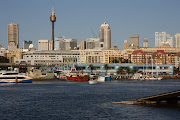 The large blue building is the Sydney Fish Market at Pyrmont, . (blackwattle bay fish markets)