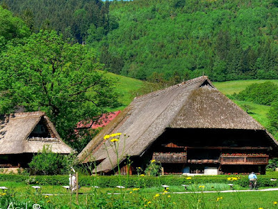 HD Wallpapers of Black Forest in Germany