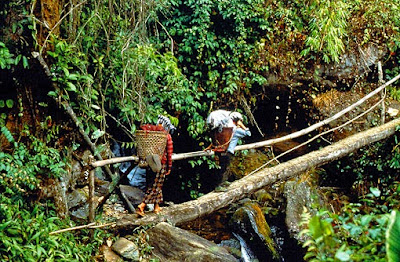 adventure trekking in the Himalayas