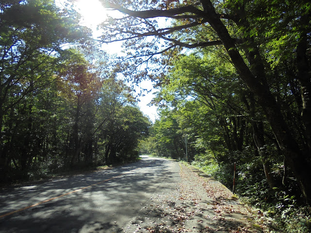 158号道路大山口停車場大山線を昇ります