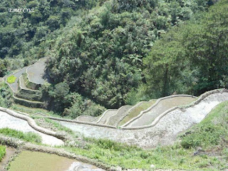 Pinoy Solo Hiker - Banawe Rice Terraces
