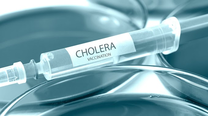 કોલેરા થી બચવાના ઉપાયો,cholera treatment,Best home remedies for cholera,Cholera - Diagnosis and treatment.