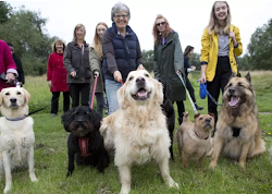 DOG DATES! Πώς οι σκύλοι φέρνουν κοντά τους μοναχικούς ηλικιωμένους...