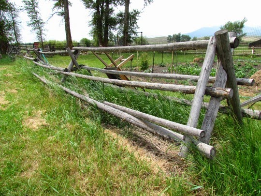 Grant-KohrsRanch-16-2014-07-18-21-18.jpg