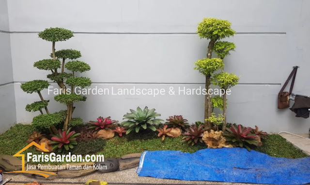 Tukang Taman Sampang - Jasa Desain Pembuatan Taman Terbaik di Sampang Madura