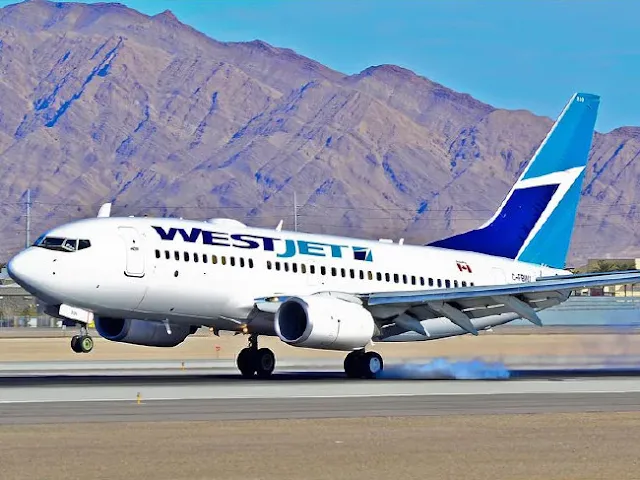 WestJet said it stood by its decision