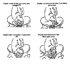 clip_image015