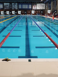 Picture of an indoor swimming centre with leaderboards and lanes and flags: swimming backstroke, do you have to hit your head?