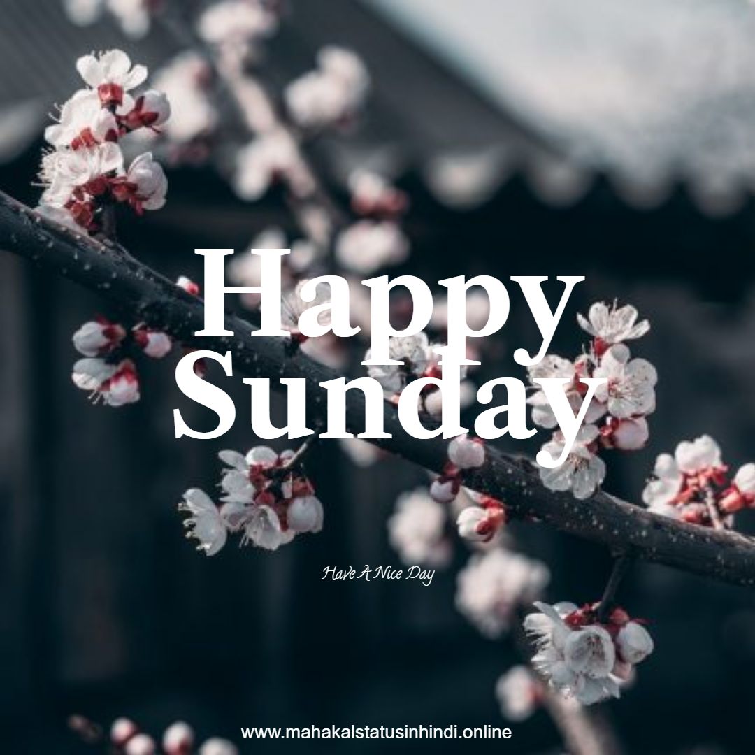 Happy Sunday Flowers  Images