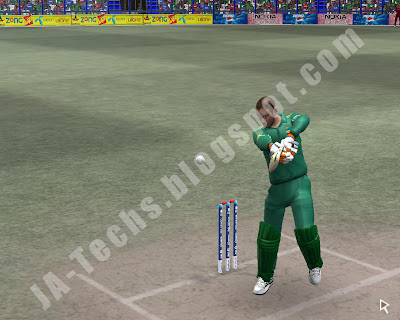 Remove Helmet of Batsmen in EA Cricket 07 - Ingame Screenshot 6
