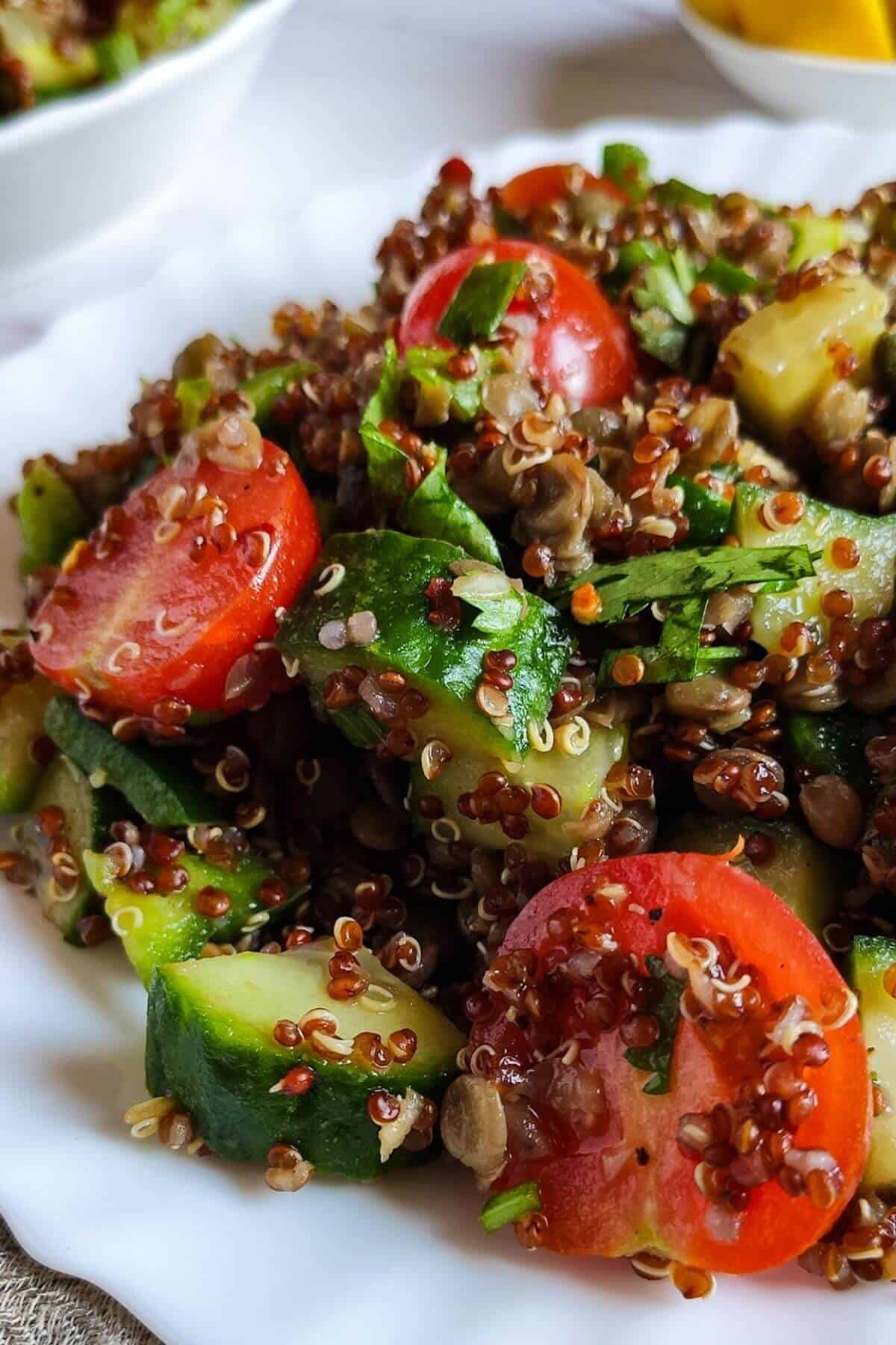 A down shot of Quinoa Salad with Lentils and Tomatoes on a white plate.
