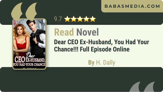 Cover Dear CEO Ex-Husband, You Had Your Chance!!! Novel By H. Dally