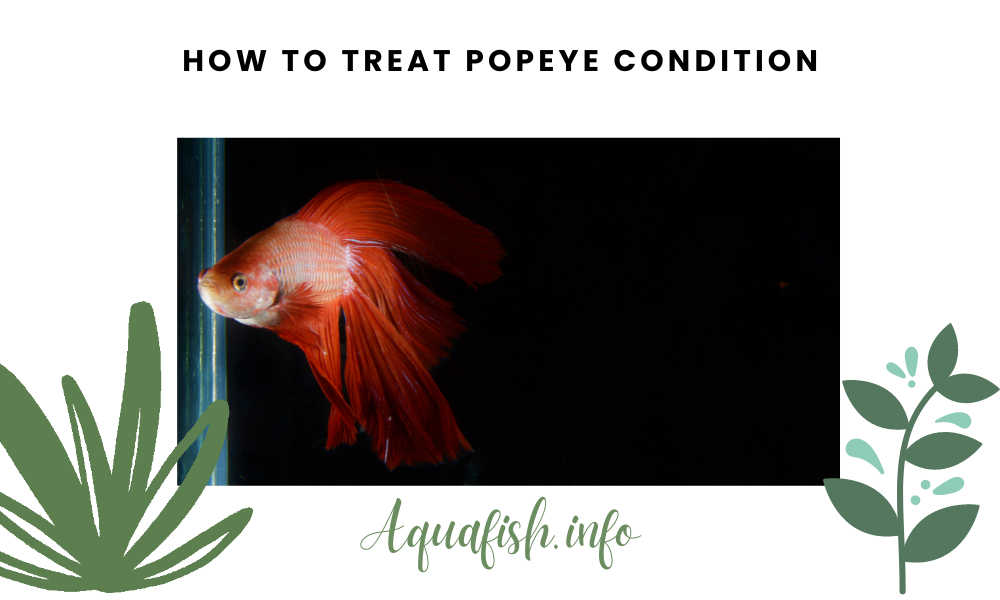 How to Treat Popeye Condition