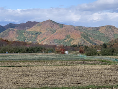 高山村の紅葉