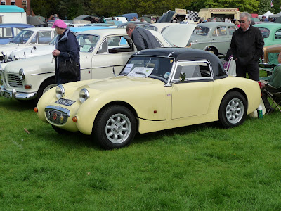 Cracking Frogeye Austin Healey Sprite 