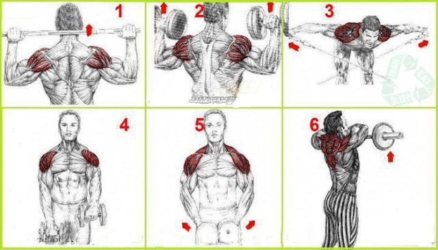 Shoulder Exercises