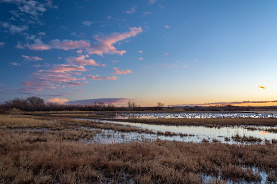 Sunrise, Bosque del Apache National Wildlife Refuge