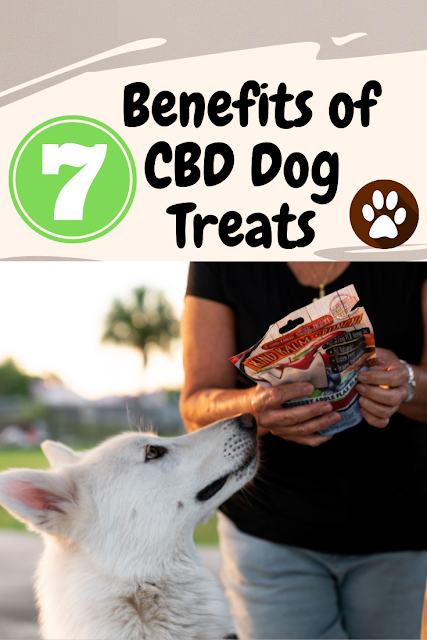 7 Benefits of CBD Dog Treats