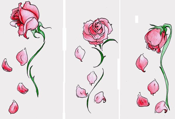  Taringa Motivos Dibujos de Tatuajes de Rosas Tattoos Imagenes 