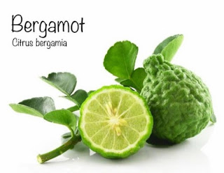 Manfaat Jeruk Bergamot Untuk Mata