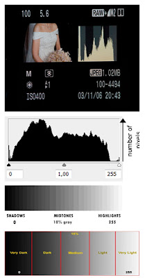 Histogram