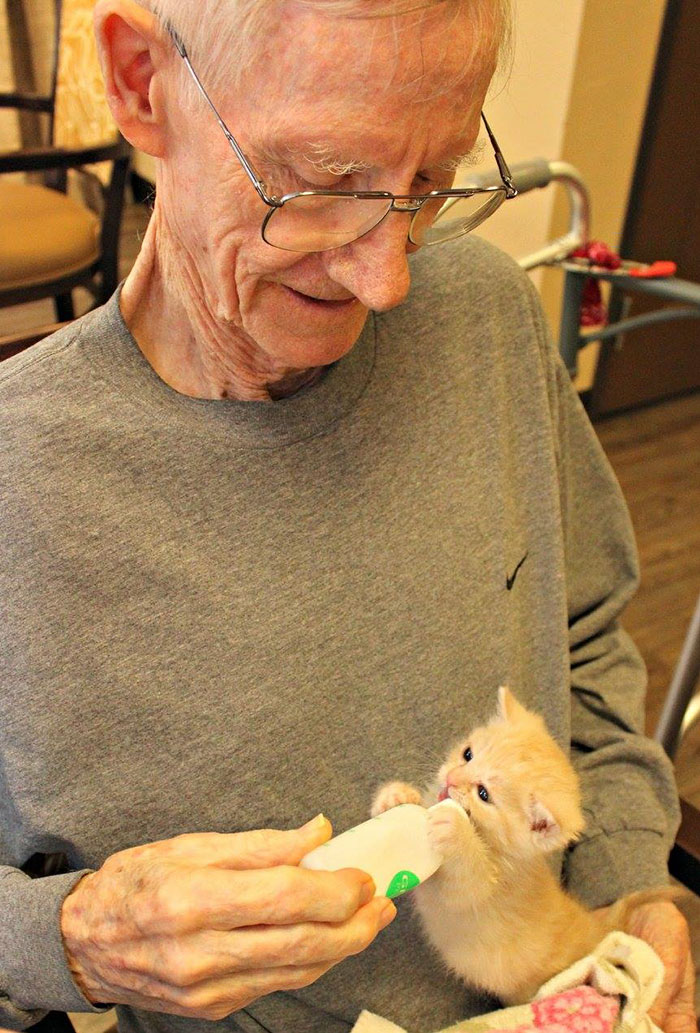 This Is What Happens When An Animal Shelter Partners With An Elderly Care Facility…