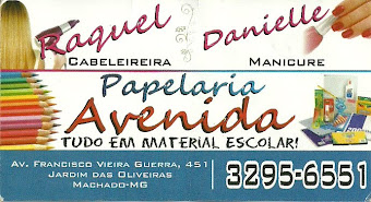 PAPELARIA AVENIDA