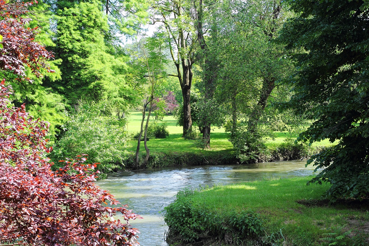 Cartoline dal bosco in primavera