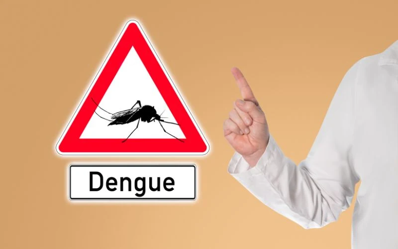 Entendendo a Dengue: Sintomas, Tratamento e Prevenção