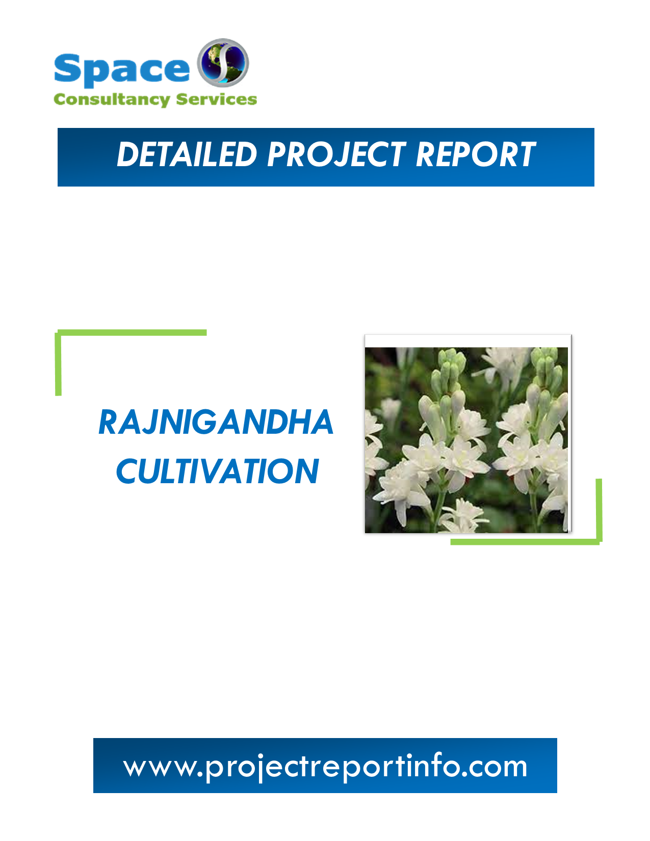Project Report on Rajnigandha Cultivation