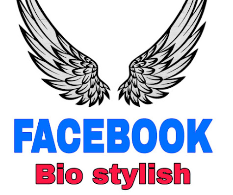 facebook-bio