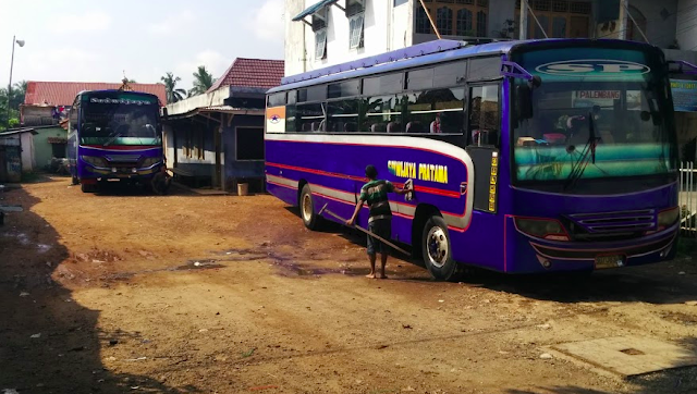 bus sriwijaya palembang bengkulu