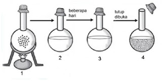 Latihan dan Pembahasan Soal UN Biologi SMA 2019