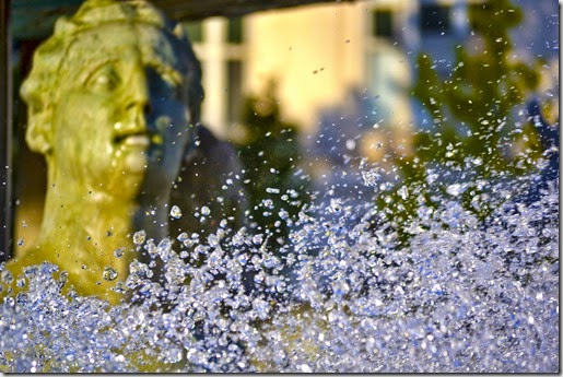 Montpellier-Languedoc2014