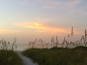 Morning Glow