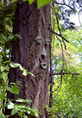 photo of a tall tree talking by Nancy Zavada