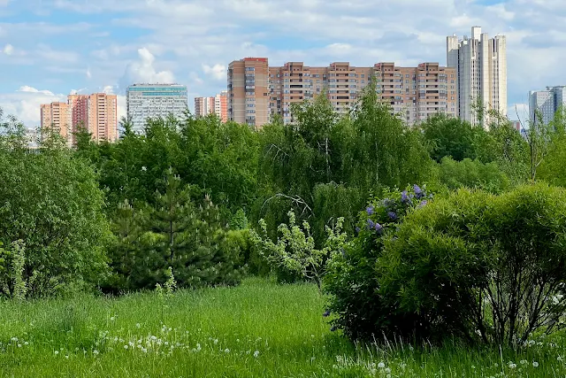 Парк имени 50-летия Октября, вид в сторону проспекта Вернадского