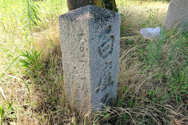 深居神社(松原市)