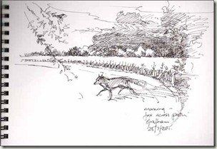 fox bg