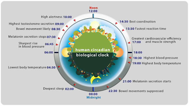 https://www.thepaleomom.com/the-new-science-of-sleep-wake-cycles