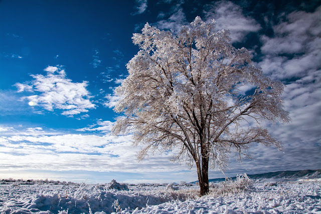 Chatfield State Park