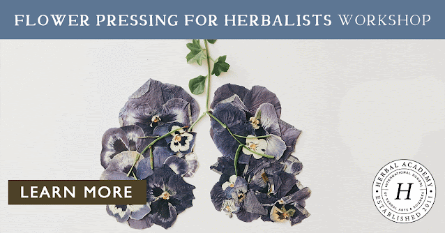 Herbal Summer Workshops! Flower Pressing, Tea Blending, and Natural Dyeing