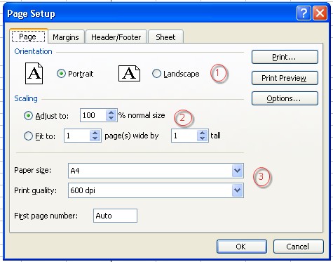 Định dạng trang in trong excel 2003