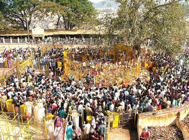 Sammakka Sarakka Jatara 2014