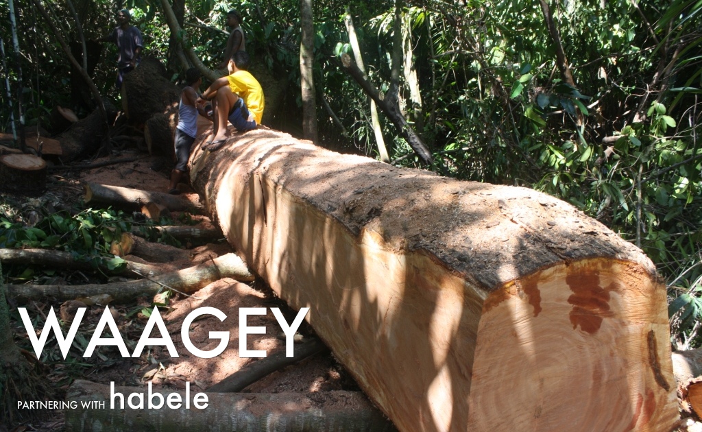 Habele: Traditional Canoes in the Caroline Islands