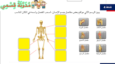 أنشطة النشاط العلمي السنة الخامسة