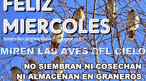 Feliz Miércoles con promesa de Dios