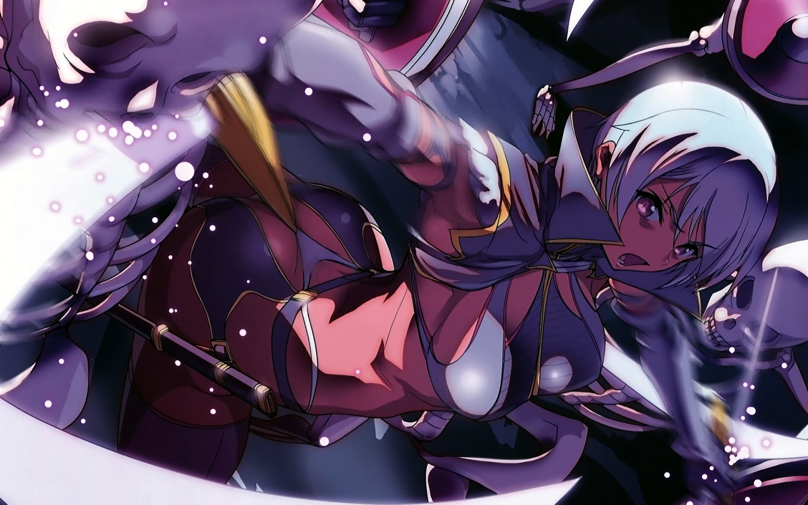 Download this Queens Blade Anime Fighting Girl Wallpaper Desktop Background picture